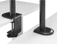 Suporte de Monitor + Port&aacute;til Ewent EW1519 Desk Mounting 13" - 32" Articulado Preto image number null