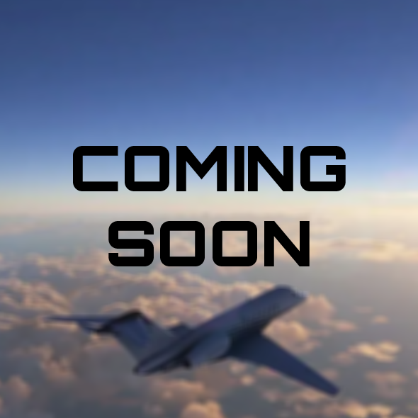 SimFlight